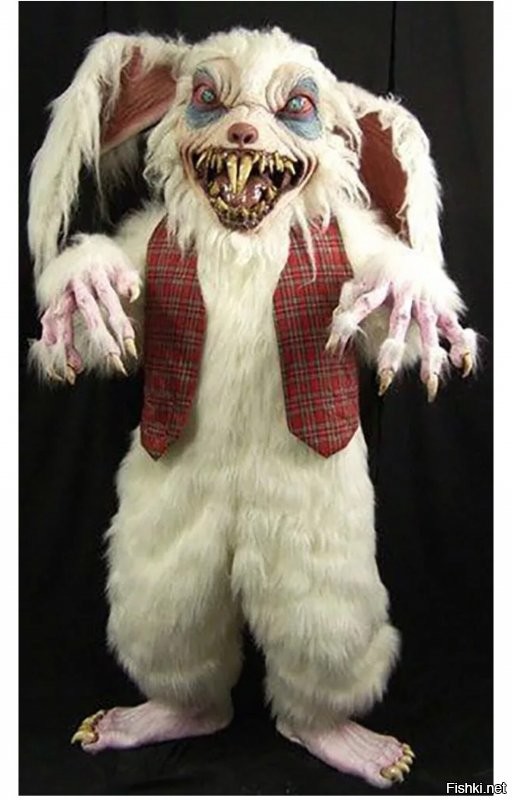 Смешные и познавательные картинки