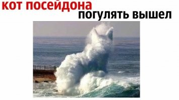 Утренняя подборка прикольных картинок в субботу