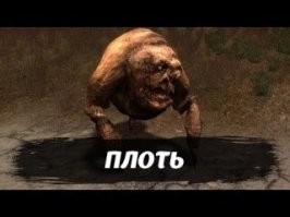 Плоооть!
