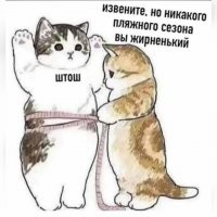 Толстенькая нерпа застряла в проталине