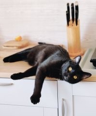 Наши тоже желают всем доброго утра!