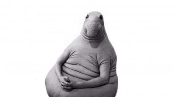 Разработчики S.T.A.L.K.E.R. 2 показали экипировку фракций и модели оружия