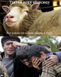 Черный-черный юмор, который симпатичен многим