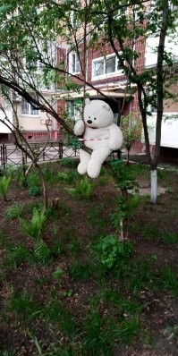 На самоизоляции