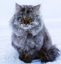 С добрым утром!