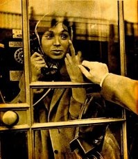 По башке себе постучи, собака бешеная! )))