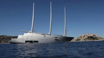 Вон Мельниченко как разжирел без кассы то!