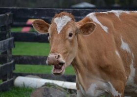 Нифига себе