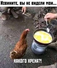 Юмор из соцсетей обеденного понедельника