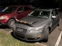 Вот этот знак обозначает "за рулём инвалид". 


А этот что? "За рулём олень" или "Осторожно! Козёл"?