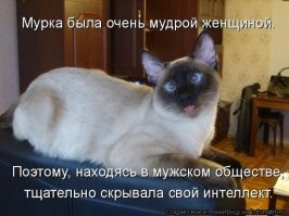 Фото приколы марта, послезавтра середина весны