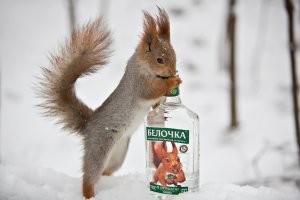 "Белочка" в больнице: вас прирежут, а вы не дергайтесь, спасать некому