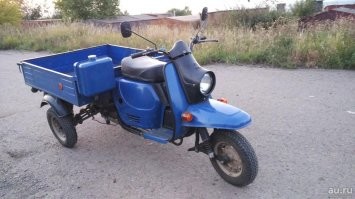 вот настоящий муравей