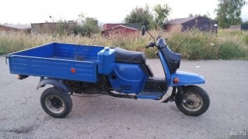 вот настоящий муравей