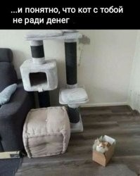 Юмор из соцсетей обеденного понедельника