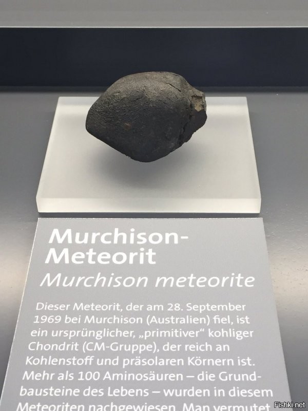 Вы определитесь-горная порода или  Мерчисонский метеорит  
Мурчисонский метеорит (Мерчисонский)  углистый хондрит общим весом 108 килограмм. Упал 28 сентября 1969 года вблизи деревни Мурчисон