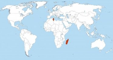 Видимо, Афганистан все так зае..ли, что он решил сбежать куда-нибудь подальше