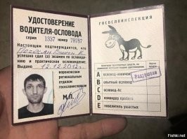 ЛАЙК ребятам. Жёсткий ответ спецназа