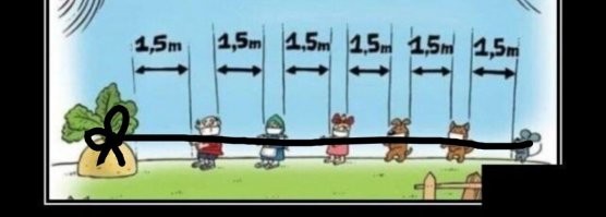 Веселые  картинки