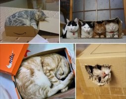 Можно и складывать. 
Аккуратно. В коробочки.