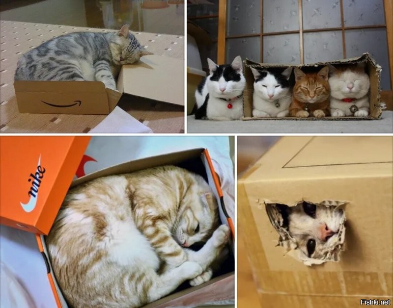 Можно и складывать. 
Аккуратно. В коробочки.