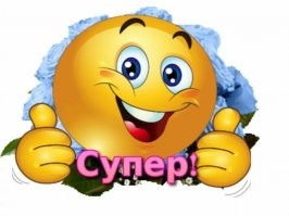 Мама-медведица переходит дорогу со своими непослушными детенышами