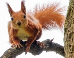 Голый пациент сбежал в гипсе из больницы!