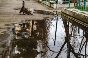 К этой фотографии можно любой город или посёлок приписать , как понять что это именно Новороссийск?