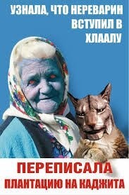 Смешные и познавательные картинки