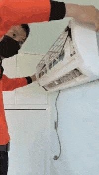 зря окно не закрыл, шикарный обед разлетелся