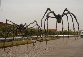 Судя по правому рулю и выражению лица мальчика, это Австралия и впереди как-то так: