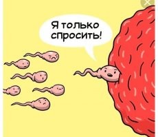 Мемы и смешные картинки среды