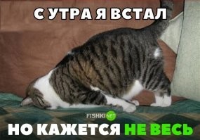 Мемы и смешные картинки среды