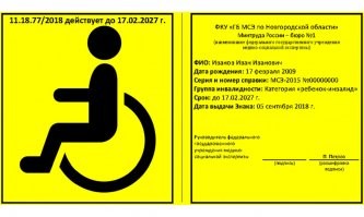 Забыл указать, спец знак "инвалид" с номером(рис1)  получать уже не нужно, достаточно простой наклейки (рис. 2)