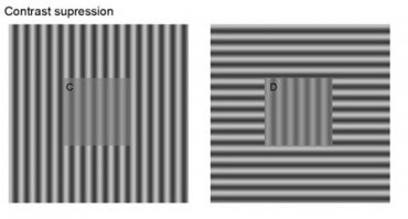 что вы видите когда смотрите на эту картинку?)евреям это не понравится)