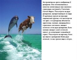 Оптическая иллюзия показала, как «видят» люди с депрессией