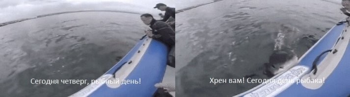 Гифки дня