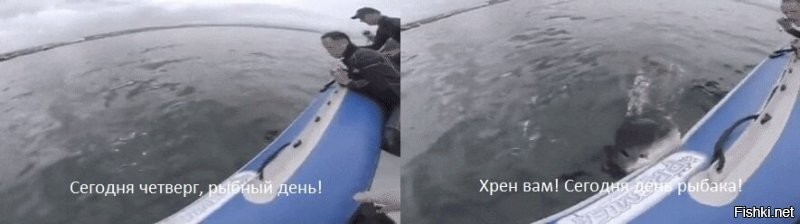 Гифки дня