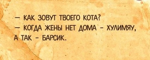 Мемы и смешные картинки среды