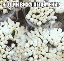 Смешные и познавательные картинки