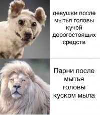 Взгляд на одни и те же вещи глазами мужчин и женщин