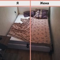 В конуре, но на Louis Vuitton