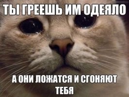 Немного позитива и юмора в первоапрельский  день