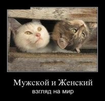 Взгляд на одни и те же вещи глазами мужчин и женщин