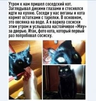 Смешные и познавательные картинки