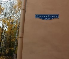 На Каменном острове:
