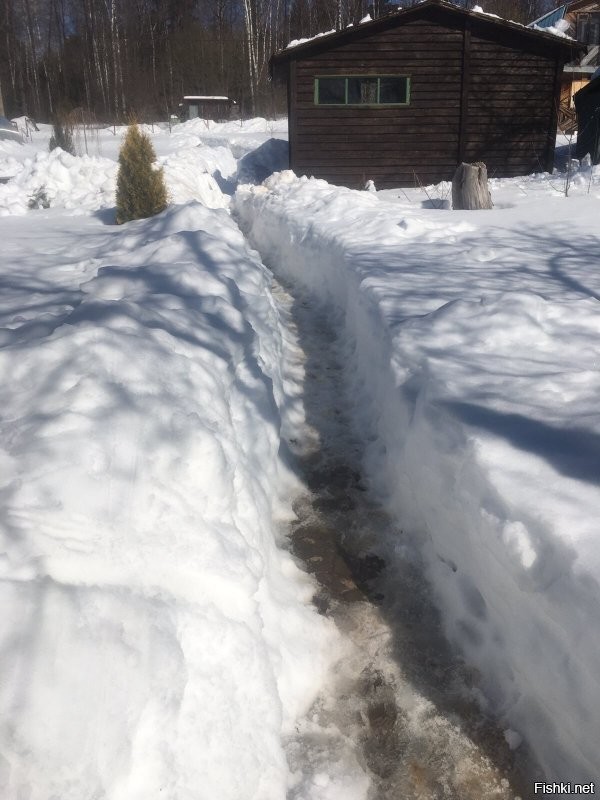 Открыл дачный сезон