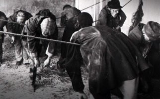 2 penny hangover - в викторианской Англии за два пенни бездомному можно было "перевисеть" ночь под крышей специальной ночлежки. Эти двое, таскающие за собой палатку и PSP, еще легко отделались. Так-то традиционно бродяг в метрополии не сильно любили.