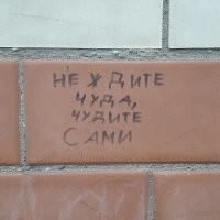Но при большом увеличении если повезёт можно обнаружить мудрость.