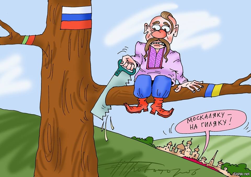 Материализовать карикатура скачу. Карикатуры на украинцев. Хохол карикатура. Карикатуры на украинскую власть. Карикатура на уркаинца.